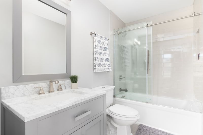 Bathtub to Shower Conversions